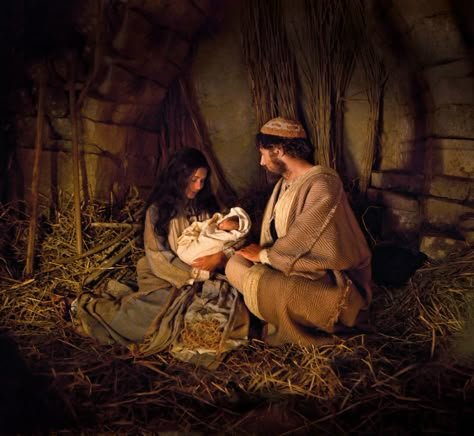 Where Is Jesus, Lds Christmas, Ward Christmas Party, Bible Video, Christmas Centers, Christmas Program, Birth Of Jesus Christ, True Meaning Of Christmas, Meaning Of Christmas