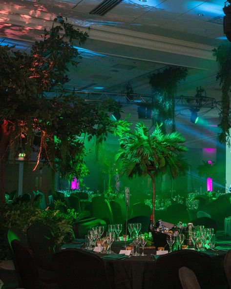 Welcome to the jungle 🌿🌺🌳 Transforming an empty event space into an enchanting rainforest gala - lush green foliage, vibrant florals, towering trees and dark, moody lighting. From rainforest galas to brand activations, we create stunning foliage & floral decor for any occasion! Contact us at info@event-trees.com and chat to our events team 📣 #floralarrangement #eventdecoration #eventdecor #eventinspiration #floraldecor #floraldesign #eventstyling #corporateeventstyling #corporateeventspl... Electric Jungle Party, Rainforest Party, Moody Lighting, Rainforest Cafe, Brand Activations, Vibrant Florals, Concert Venue, Jungle Party, Welcome To The Jungle