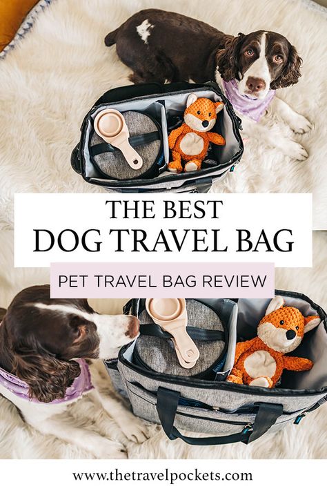 The Best Travel Organizer Bag For Your Dog - You’ll Love #4’s Feature on the List Road Trip With Dog, Dog Travel Accessories, Dog Bags, Travel Organizer Bag, Puppy Bag, Dog Friendly Vacation, Dog Organization, Pet Travel Bag, Dog Travel Bag