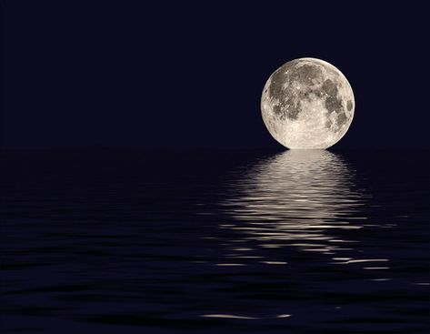 i love it when the moon sets on the ocean at night... I have only seen this a handful of times. wish I had more moonset memories! Moon Beauty, Moon On The Water, Full Moon Rising, Shoot The Moon, Moon Rising, Moon Pictures, Beautiful Moon, Harvest Moon, Moon Magic