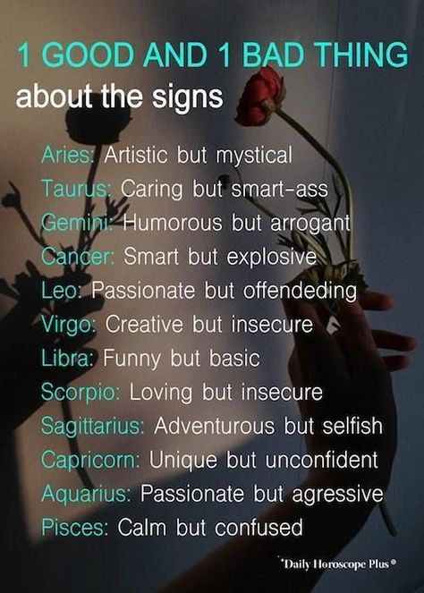 Worst Zodiac Sign, Horoscope Memes, Zodiac Signs Chart, Scorpio Zodiac Facts, Zodiac Signs Scorpio, Zodiac Signs Virgo, Zodiac Signs Sagittarius, Zodiac Signs Pisces, Zodiac Signs Taurus