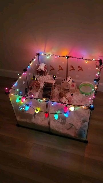 Teddy Bear Hamster Cage Ideas, Hamster Furniture, Kandang Hamster, Hamster Cage Ideas, Hamster Tank, Hamster Christmas, Diy Hamster Toys, Pet Rat Cages, Hamster Diy Cage