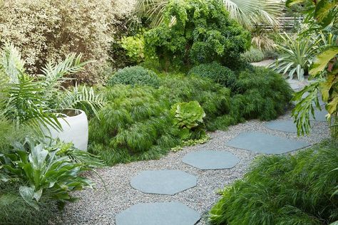 Flora Grubb Gardens on Instagram: “Acacia 'Cousin Itt' is back in stock! That's the silky shrub along the border in this garden (Flora's own garden in Berkeley). So pretty!…” Acacia Cognata, Cousin Itt, Ornamental Garden, Weeping Trees, Plant Store, Flora Grubb, Palm Garden, Courtyard Design, Garden Whimsy