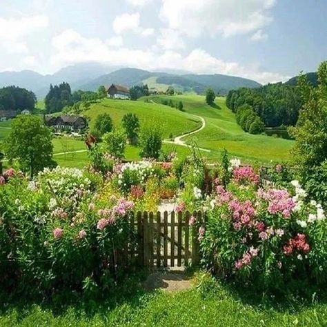 I Want To Live In A World Without Prejudice, Hate, or Greed... Spring Aesthetic, Garden Cottage, English Countryside, Nature Aesthetic, Shade Garden, Dream Garden, Fesyen Wanita, Bavaria, Cottage Garden