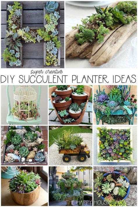 Succulent Planter Ideas, Diy Succulent Planter, Tanaman Sukulen, Kaktus Dan Sukulen, Taman Diy, Succulent Planter Diy, Tanaman Indoor, Succulent Garden Design, Woodwork Projects