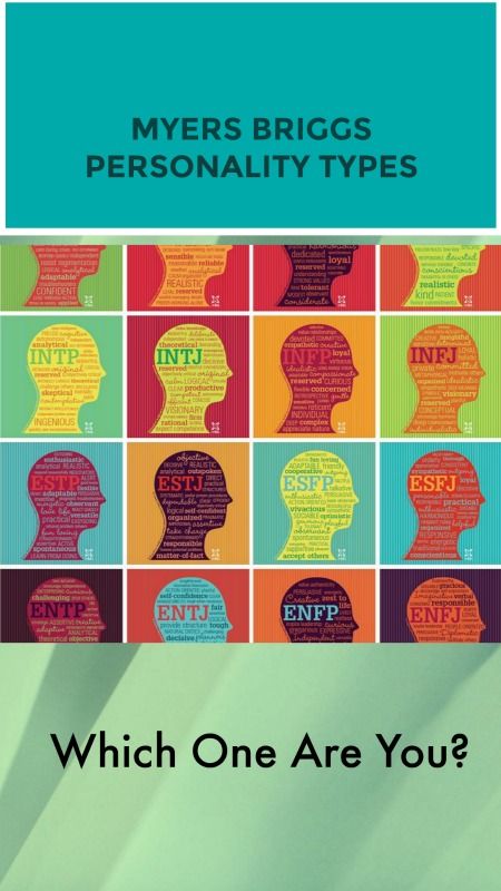 Get to know your Myers Briggs personality. Does it describe you? #MBTI #personality #ENTJ Myers Briggs Personality Types Quiz, Mbti Personality Quiz, Entj And Enfp, Entj Mbti, Personality Type Quiz, Meyers Briggs, Mbti Test, Myers Briggs Personality Types, Myers Briggs Personalities