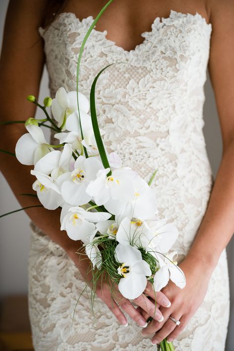 Brides Wedding Bouquets, White Orchid Bouquet, Orchid Bouquet Wedding, Orchids Wedding, Orchid Bouquet, Orchid Wedding, White Wedding Bouquets, Media Photography, White Orchids