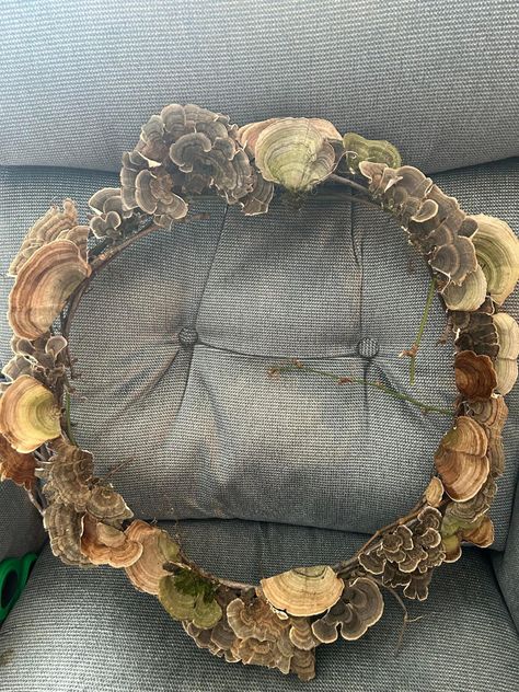 Activities, mushroom, forage, foraging, wreath, DIY, home decor Mushroom Wreath, Mushroom Crafts, Witchy Crafts, Mushroom Decor, Wreath Diy, Mushroom Art, Driftwood Art, Nature Crafts, Crafty Craft