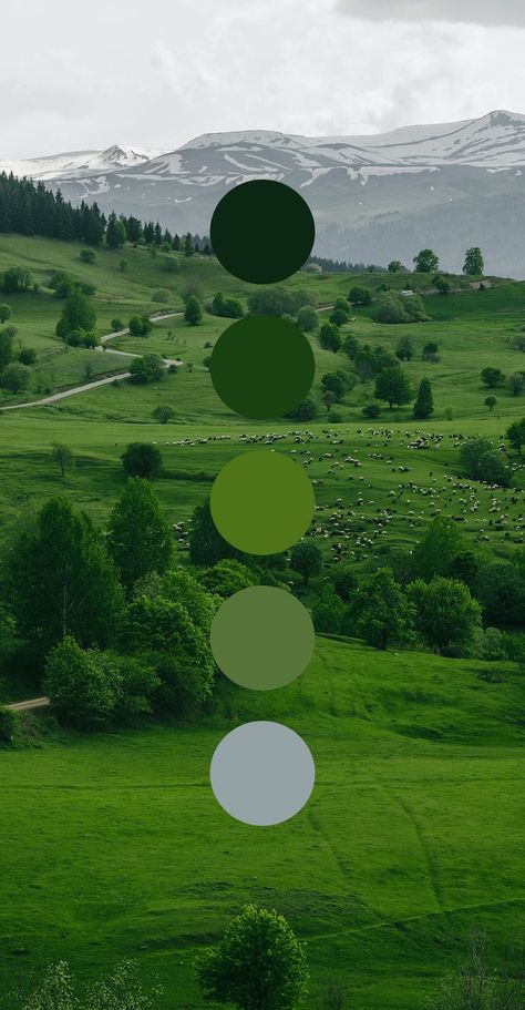 Irish Color Palette, Grass Color Palette, Colors Moodboard, Color Moodboard, Graphic Design Color, Color Branding, Green Logo Design, Website Color Schemes, Code Color