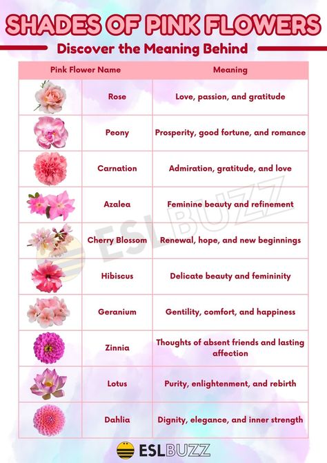 Pink Flower Meaning, Flower Names And Meanings, Japanese Flower Names, Flower Meanings Chart, Unique Flower Names, Pink Flower Names, Flowers And Names, Flower Facts, Pink Flower Pictures