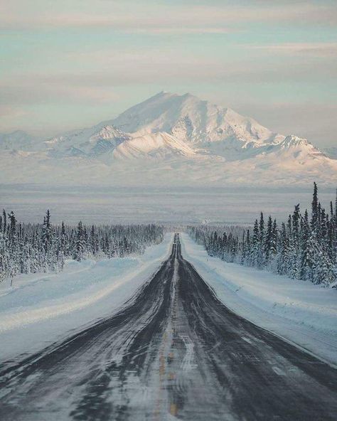 Places In The World, Beautiful Places In The World, Most Beautiful Places, Alaska, Beautiful Places, Most Beautiful, Trees, Road, The World