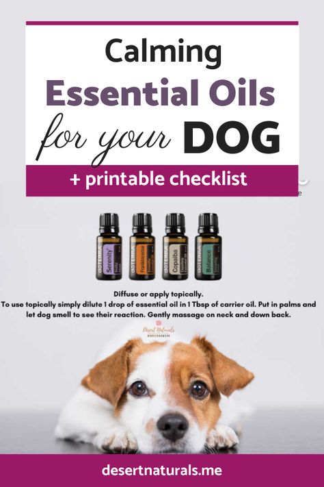 Dog Essential Oils, Essential Oil Dog Spray, Doterra Dogs, Dog Safe Essential Oils, Dog Calming Spray, Natural Dog Remedies, Essential Oils For Dogs, Doterra Serenity, Essential Oils Dogs