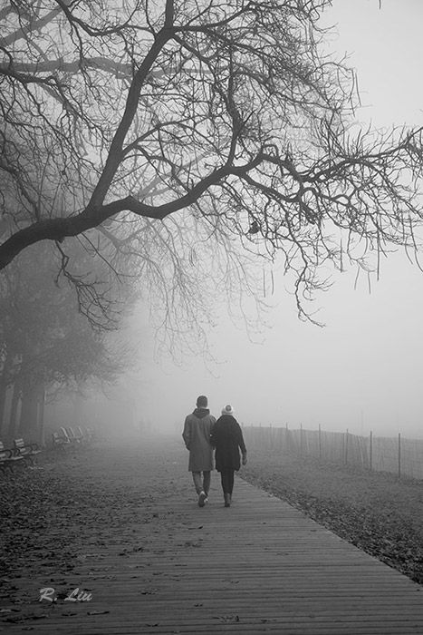 Fog Photography People, Mountain Pics, Landscape Black And White, Fog Photography, Magical Photography, Talking Picture, Foggy Day, Mountain Pictures, Group Home