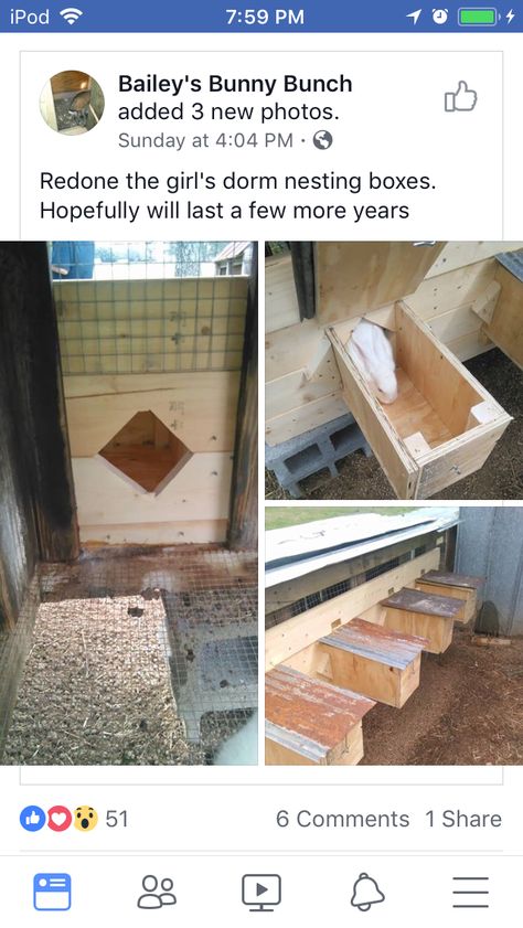 Breeding Rabbits For Money, Rabbit Nest Box Diy, Rabbit Nesting Boxes, Diy Rabbit Nesting Box Ideas, Rabbit Nesting Box Ideas, Rabbit Breeding Setup, Rabbit Digging Box Ideas, Rabbit Nesting Box Diy, Rabbit Colony Ideas