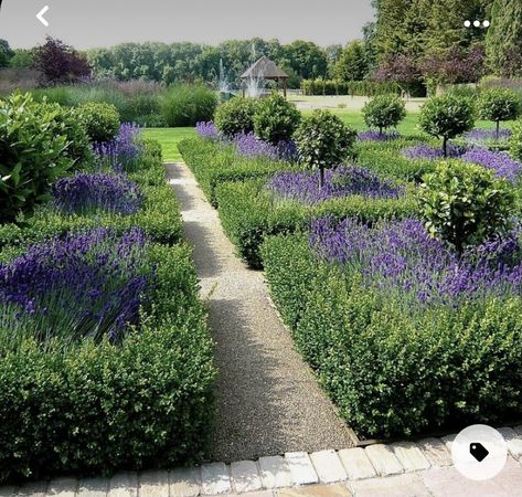 Formal Garden Design, Parterre Garden, Boxwood Garden, Garden Estate, Lavender Garden, Formal Garden, Garden Deco, Formal Gardens, French Garden