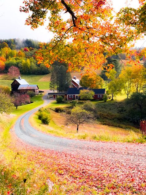 Discover the charm of Woodstock, Vermont, nestled in the heart of New England. Explore our guide to uncover the best of this picturesque town.. Kancamagus Highway, Woodstock Vermont, White Mountain National Forest, New England Fall, Picnic Spot, National Parks Usa, Scenic Byway, Fall Travel, Green Mountain