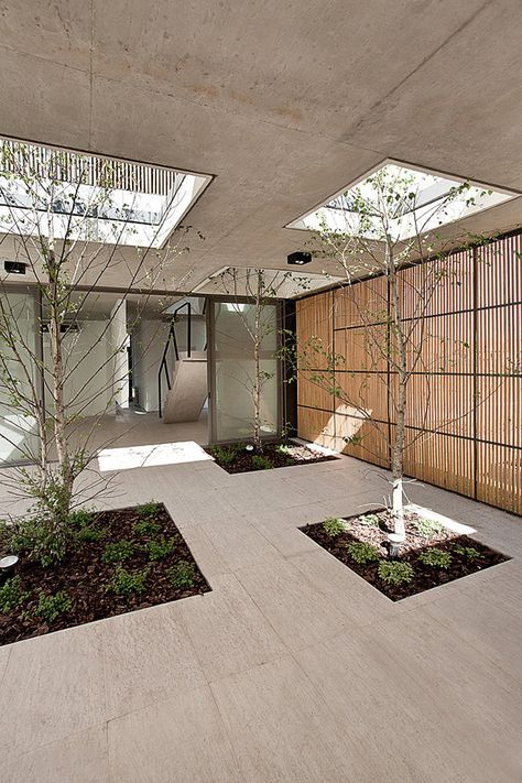 Modern family home blurs the lines between indoor and out Indoor Trees Architecture, Basement Courtyard, House Basement Ideas, Courtyard Architecture, House Courtyard, Indoor Courtyard, Indoor Trees, Casa Patio, Patio Interior