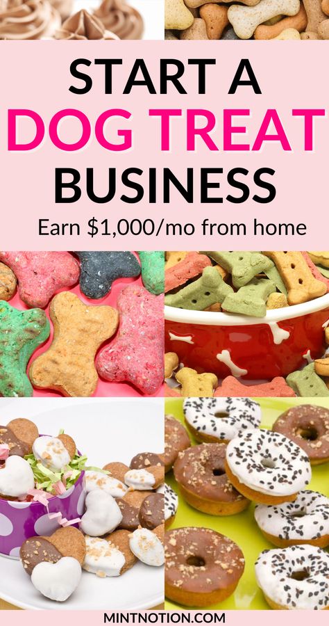 start a dog treat business Dog Business Ideas, Dog Cookies Recipe, Start A Dog Treat Business, Dog Treat Bakery, Dog Treat Business, Dog Cookie Recipes, Treat Business, Homemade Pet Treats, Homemade Dog Cookies