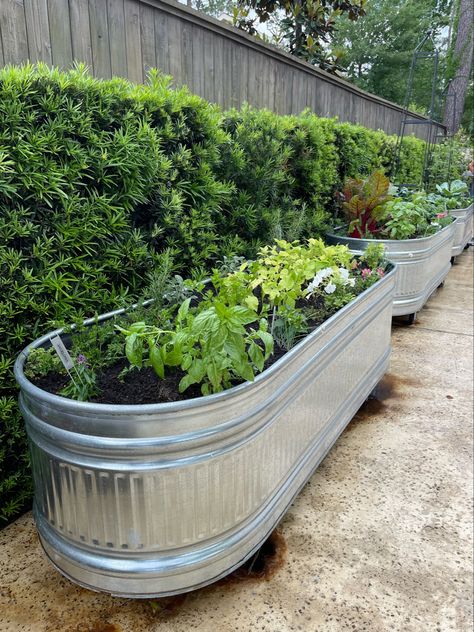 Stock tanks make great starter gardens. These are raised up with wheels. Holes in the bottom of each trough allow for drainage. @gardengirlstx Raised Garden Designs, Above Ground Garden, French Garden Design, Country Garden Design, Raised Bed Garden Design, Vegetable Garden Raised Beds, French Country Garden, Diy Raised Garden, Raised Garden Beds Diy