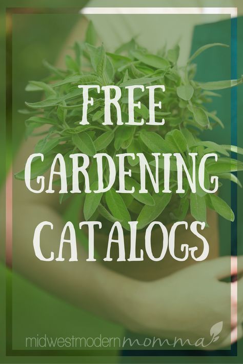 Free Gardening Catalogs Fall Vegetable Gardening, Midwest Fall, Garden Planning Layout, Garden Catalogs, Fall Garden Vegetables, Starting A Garden, Garden Yard Ideas, Vegetable Gardening, Back Gardens