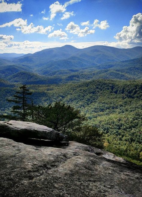 Mountain Photography People, Asheville Hikes, Types Of Forests, Large Landscape Painting, Hiking Places, Mountain Landscape Photography, Pisgah National Forest, Nc Mountains, Photography People