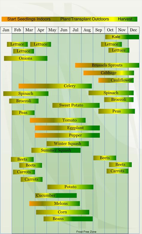 For ZONE 9  Vegetable  planting calander describing approximate dates to start vegetable  plants indoors and outdoors relative to specific USDA Plant Hardiness  Zones. Zone 9 Gardening, Vegetable Planting Calendar, Planting Schedule, Zone 9b, Vegetable Planting, Seedlings Indoors, Indoor Vegetables, Tattoo Plant, Planting Calendar