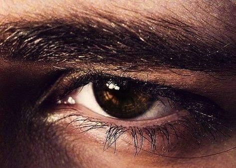 Eyes dark, like daggers piercing through your soul... Honey Brown Eyes, Hawke Dragon Age, Matthew Daddario, Bonnie Bennett, Scott Mccall, Vampire Academy, Katherine Pierce, Caroline Forbes, Final Fantasy Xv