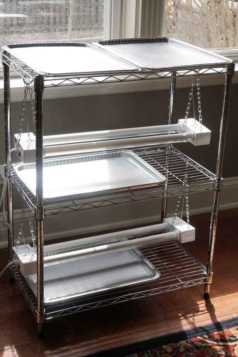 Diy Grow Shelves, Seed Starting Indoors Diy, Grow Station, Indoor Grow Room, Plant Racks, Garden Knowledge, Grow Light Stand, Seed Starters, Kitchen Gardens