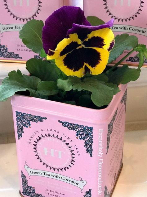 Recycled Flower Pots from old tea tins. Turn your old tins into charming home decor planters. Recycled Flower Pots, Beautiful Indoor Plants, Diy Planters Indoor, Tin Planters, Planter Project, Making Plant Pots, Flower Pot Design, Patio Pots, Recycled Tin