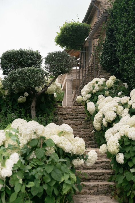 Destination wedding in the Luberon in the South of France. #FranceWedding #ChateauWedding #WeddingPhotography Provence Wedding, Garden Theme Wedding, Chateau Wedding, France Wedding, Provence France, The South Of France, South Of France, Wedding Guest Outfit, Garden Wedding