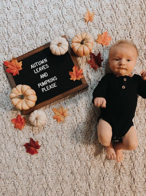 Pumpkin Milestone Pictures, September Month Baby Photoshoot, September Newborn Photoshoot, September Milestone Pictures, October 2 Month Baby Pictures, Fall One Month Baby Pictures, October Baby Milestone Pictures, September Baby Milestone Pictures, Newborn October Pictures