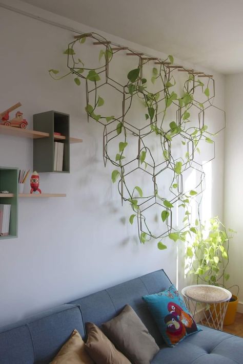 Plants On The Wall, Wall Grille, Wall Trellis, Tanaman Indoor, Plant Hanging, نباتات منزلية, Hanging Plants Indoor, Plant Decor Indoor, Plants Indoor