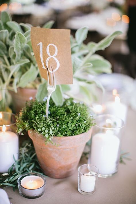 Vintage garden wedding with potted herb centerpieces / http://www.himisspuff.com/wedding-table-numbers-centerpieces/5/ Herb Centerpieces, Affordable Wedding Centerpieces, Herb Wedding, Vintage Garden Wedding, Candle Wedding Centerpieces, Unique Wedding Flowers, Wedding Floral Centerpieces, Sustainable Wedding, Eco Friendly Wedding