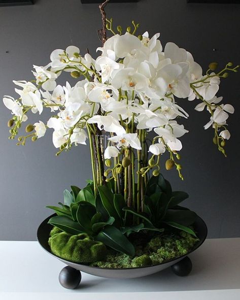 Silk Orchids Arrangements, Orchid Flower Arrangements, Orchid Centerpieces, Large Flower Arrangements, Growing Orchids, Winter Decorations, Orchids Garden, Artificial Orchids, Orchid Arrangements