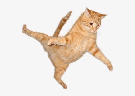 Cat Jumping, Orange Cat, Transparent Png, Orange