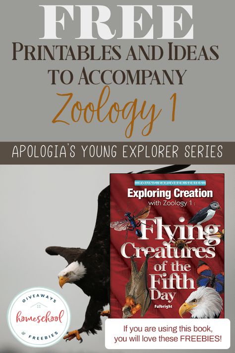 FREE Printables to Accompany Apologia's Zoology 1: Flying Creatures - Homeschool Giveaways Apologia Flying Creatures, Apologia Zoology 1, Notice Board Ideas, Biology For Kids, Printables Ideas, Basic Science, Flying Creatures, Homeschool Freebies, My Father's World