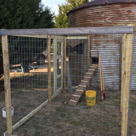 Silo Chicken Coop Hen House, Silo Chicken Coop, Grain Bin Chicken Coop, Turkey Coop, Bin Chicken, Cute Chicken Coops, Corn Crib, Silo House, Backyard Chicken Coop Plans