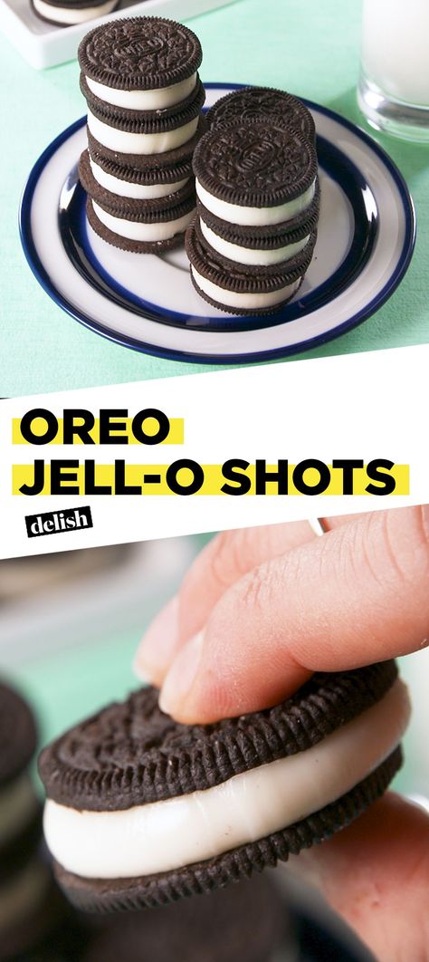 Jello Shots Ideas, Jell O Shots Recipe, Oreo Frappe, Jello Pudding Shots, Jell O Shots, Pudding Shots, Jello Shot Recipes, Jello Shot, Boozy Desserts