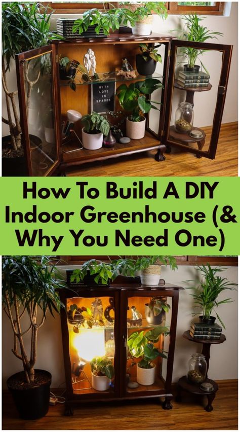 How To Build A DIY Indoor Greenhouse (& Why You Need One) In Home Greenhouse Ideas, Plant Growing Shelves, Wall Greenhouse Diy, Bookcase Greenhouse, Indoor Mini Greenhouse Ideas, Indoor Herb Garden Diy Mini Greenhouse, Diy Garage Greenhouse, Indoor Greenhouse Ideas Diy, How To Build A Plant Stand