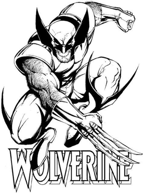 x men coloring pages wolverine | Free Printable Wolverine Coloring Pages For Kids Wolverine Coloring Pages, Wolverine Cartoon, Avengers Coloring Pages, Superhero Coloring Pages, Marvel Wolverine, Avengers Coloring, Marvel Coloring, Superhero Coloring, X Men Evolution