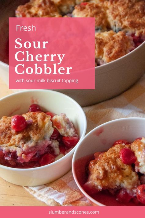 Sour Cherry Pie Filling, Buttermilk Alternative, Fresh Cherry Cobbler, Cobbler With Bisquick, Homemade Drop Biscuits, Sour Cherry Recipes, Cherry Cobbler Recipe, Sour Milk, Milk Biscuits