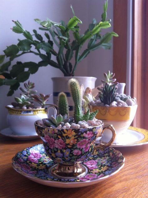 21 Amazing Teacup Craft Ideas - 134 Succulent Tea Cup, Teapot Garden Ideas, Tea Cup Christmas Crafts, Tea Cup Crafts Diy, Old Tea Cups Ideas, Tea Cup Crafts, Teacup Crafts Diy, Teacup Decor, Teacup Ideas