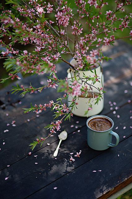 Untitled | Loreta | Flickr Spring Home Decor Ideas, A Cup Of Coffee, Spring Home Decor, Spring Home, Cup Of Coffee, Home Decor Ideas, Advent, Decor Ideas, Vase