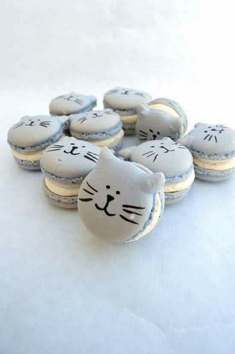 Kue Macaroon, Cat Cookies, Cat Wedding, Macaroon Recipes, Cat Birthday Party, Cute Baking, Macaron Recipe, Cat Cake, Cat Party