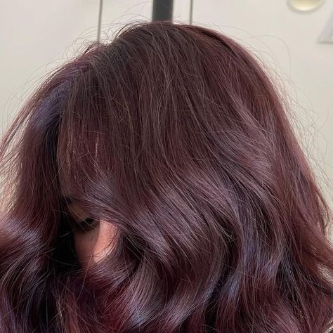 Brunette Purple Undertones, Light Brown Plum Hair, Berry Brunette Hair, Cherry Brown Hair Aesthetic, Reddish Purple Brown Hair, Deep Berry Hair Color, Purple Light Brown Hair, Dark Solid Hair Color, Medium Plum Brown Hair