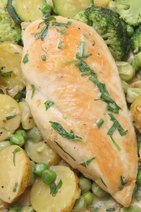 Chicken White Wine, Creamy Chicken Breast Recipes, Tarragon Sauce, Chicken Main Dish Recipes, Tarragon Chicken, Turkey Dishes, Chicken Slow Cooker Recipes, Chicken Main Dishes, Poultry Recipes