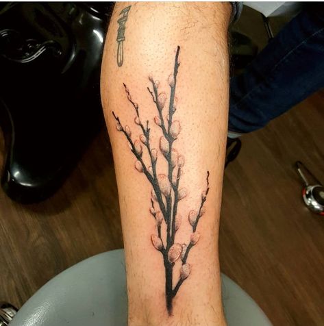 Pussywillow Tattoos, Willow Tattoo, Faith Tattoos, Tree Tattoo Meaning, Willow Tree Tattoos, Rose Shoulder Tattoo, Tulip Tattoo, Faith Tattoo, Flower Tattoo Shoulder