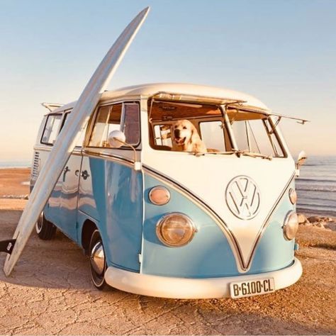 I LOVE MY COMBI - VW CAMPERVAN on Instagram: “💥 @volkswagen_combi • 📸 Awesome shoot from → @lafurgonetazul 🔍 Follow us for more daily pictures” Combi Hippie, Kombi Hippie, Vans Aesthetic, T1 Bus, Volkswagen Vans, Campervan Rental, Image Moto, Volkswagen Van, Photo Deco