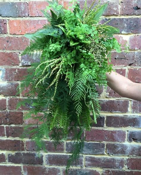 Exquisite Cascading Wedding Bouquet Of Greenery & Foliage Including: Maiden Hair Fern, Green Tree Fern, Leather Leaf Fern, Sword Fern Leather Leaf Fern, Fern Bouquet, Foliage Bouquet, Maiden Hair, Fern Wedding, Greenery Wedding Bouquet, Cascading Wedding Bouquets, Wedding Greenery, Tree Fern