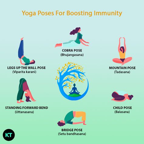 Yoga For Immune Boost, Yoga For Immune System, Increase Height Exercise, Legs Up The Wall, Simple Yoga, Yoga World, Mountain Pose, Daily Yoga Workout, Cobra Pose